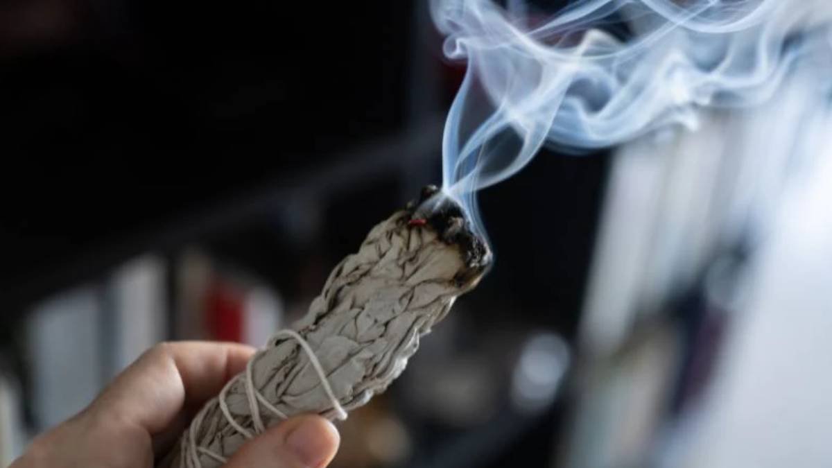 Horí šalvia doma: magický tip, ktorý úplne zmení váš interiér