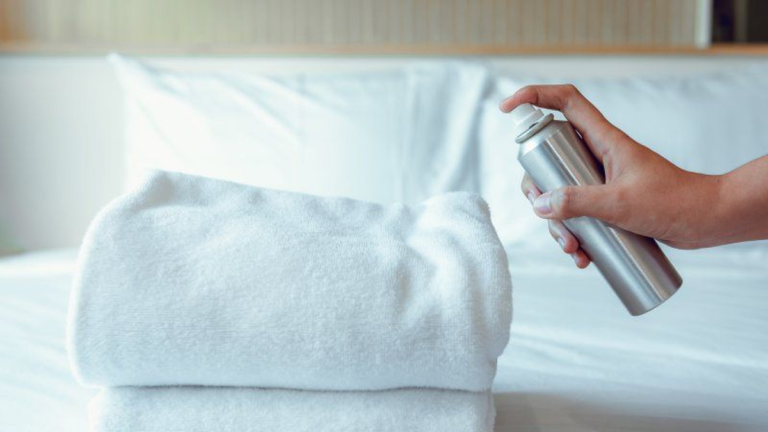 Povedzte Chau každému hmyzu: Aké sú najúčinnejšie metódy čistenia domácnosti
