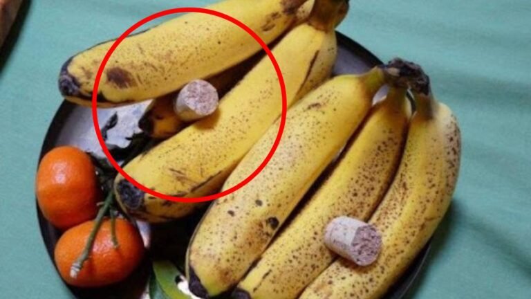 Moucherons v kuchyni? Tento trik Cork Cork ich núti utiecť celé leto