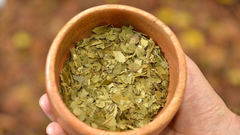 Yerba mate nový alebo použitý, poklad, ktorý máte doma: dva spôsoby, ako čo najviac čo najlepšie využiť